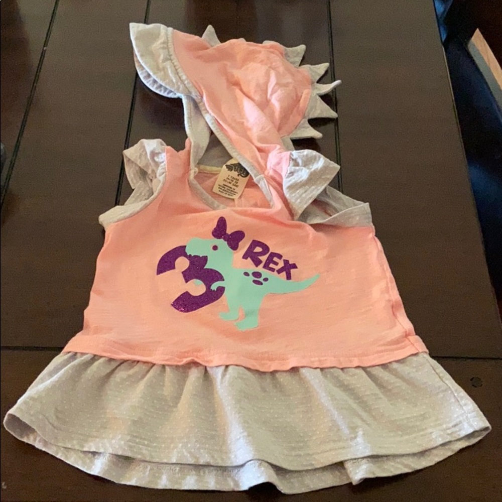 Absolute cutest toddler “3-Rex” Hooded Shirt